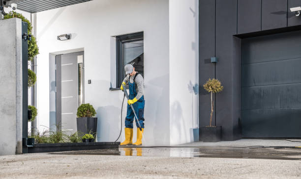 Best Solar Panel Cleaning  in Chualar, CA